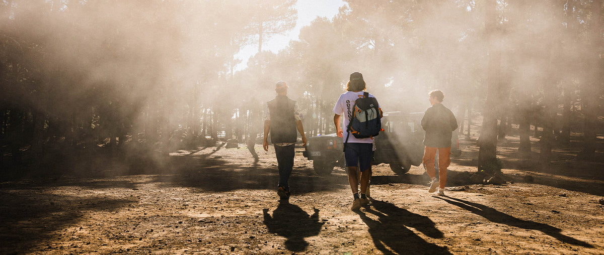A group walking in the forest, dusty air in low light