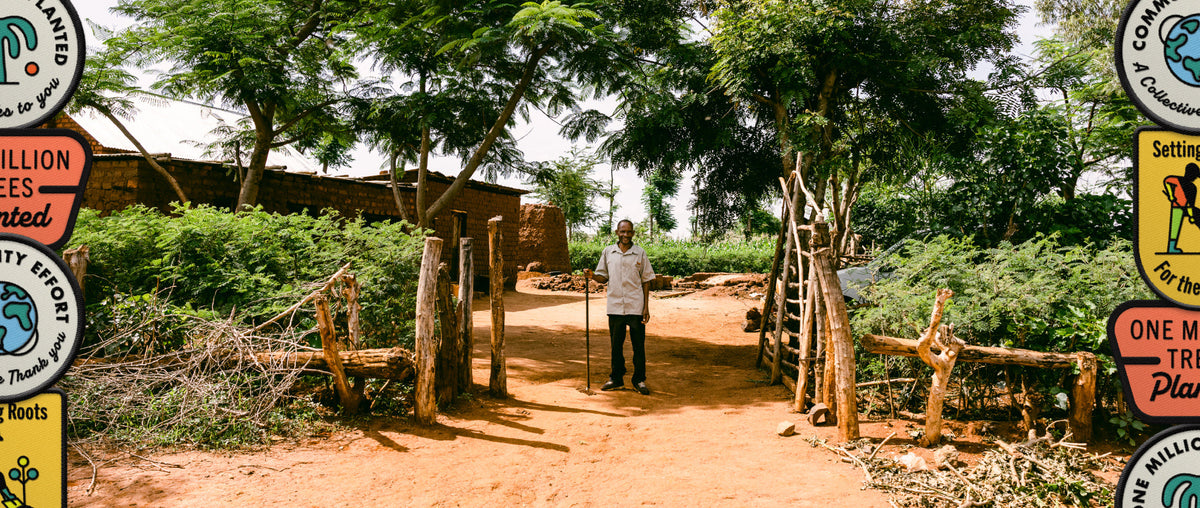 A man in front of a forest stretching to the horizon line and far off peaks.