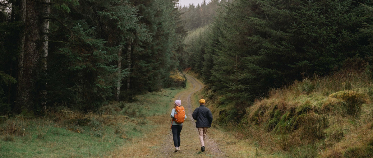 Two people walking through a forest