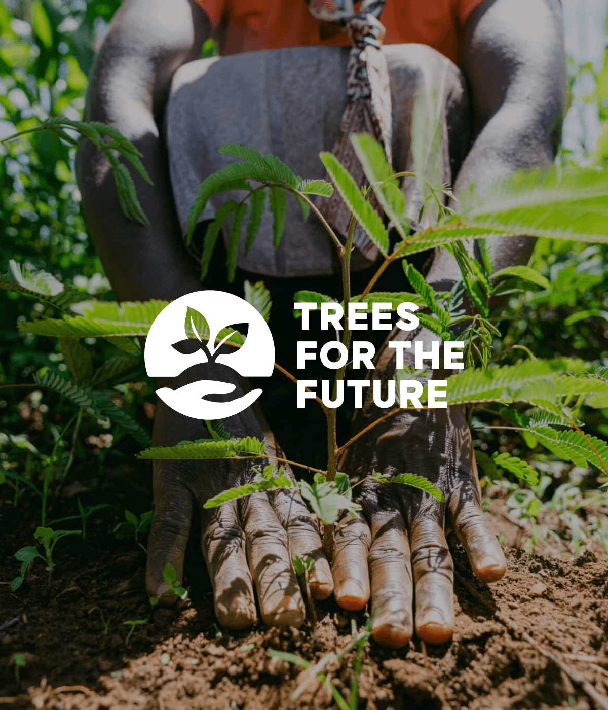 Trees For The Future