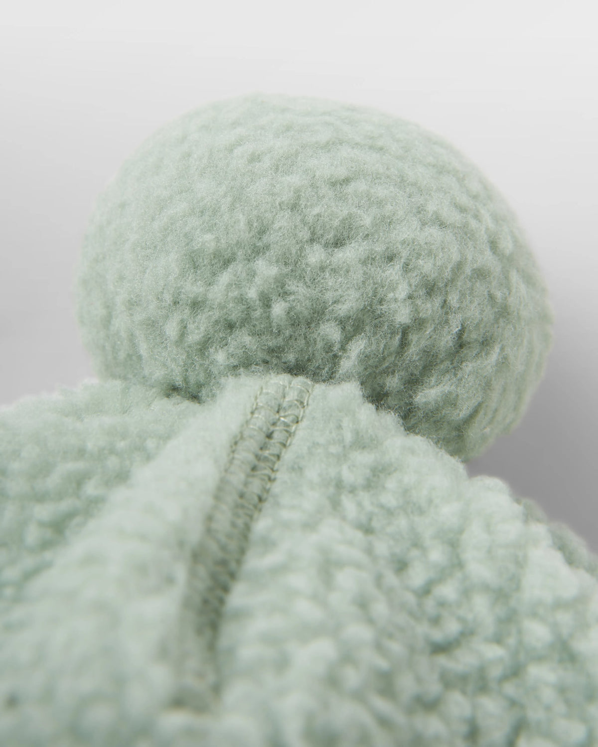 Snow Sherpa Beanie - Pistachio - Flatlay