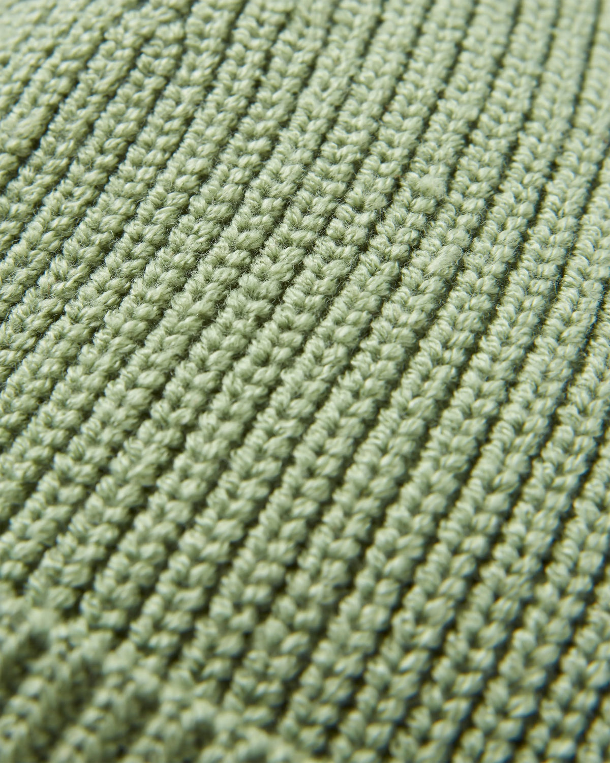 Compass Beanie - Stem Green - Flatlay