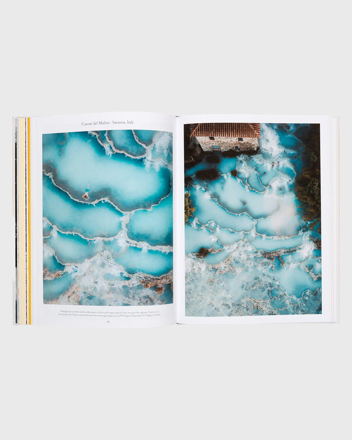The Nature of Swimming - Flatlay