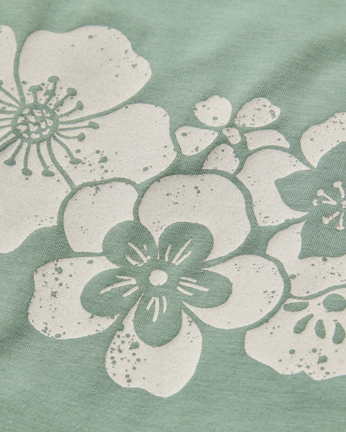 Roamscreen UPF50 Drirelease® Women's LS T-Shirt - Pistachio - Flatlay