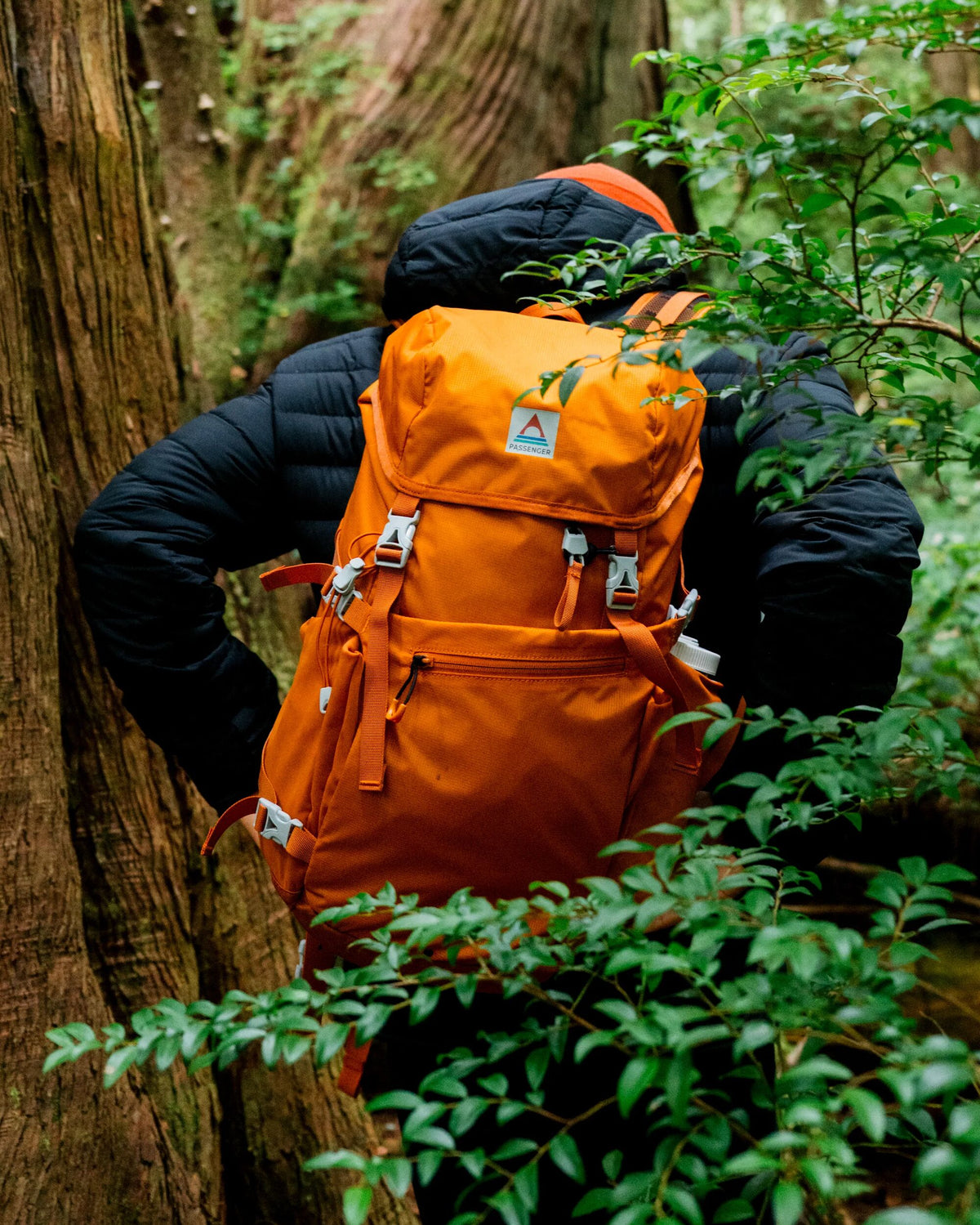 Trailscape 24L Backpack - Sunrise Orange - Lifestyle