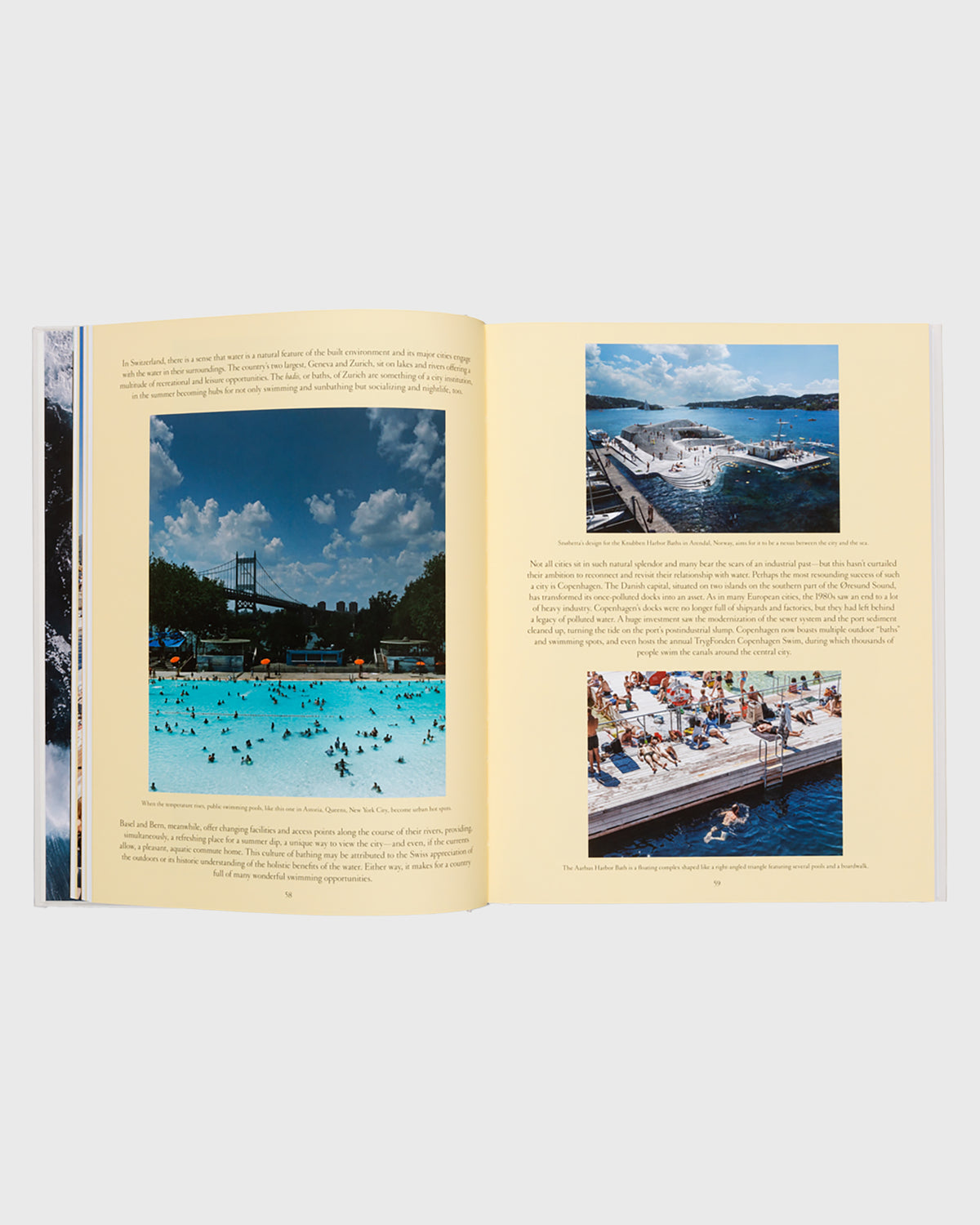 The Nature of Swimming - Flatlay