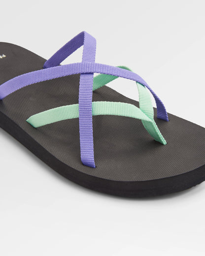Siren Sandal - Retro Purple/Spearmint - Flatlay