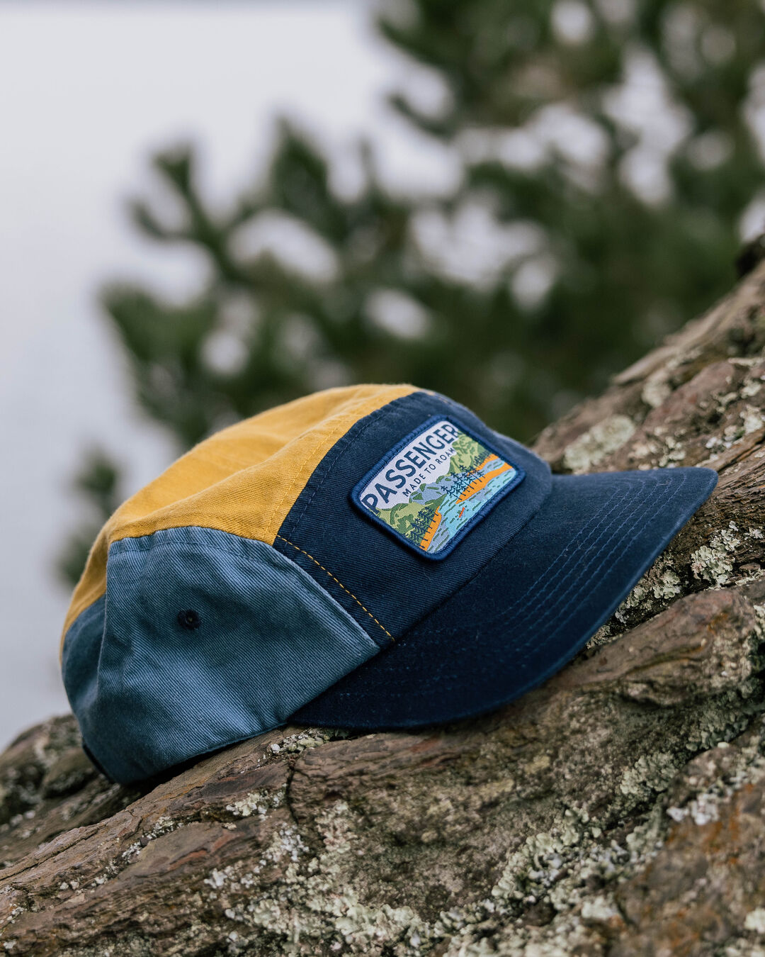 Love The Wild 5 Panel Cap - Multi - Lifestyle